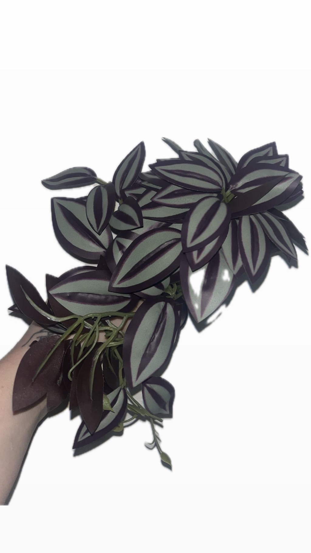 product_list_image_cover