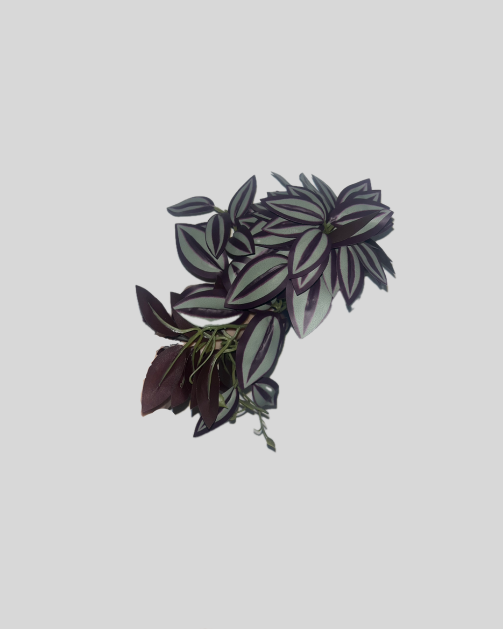 product_list_image_cover