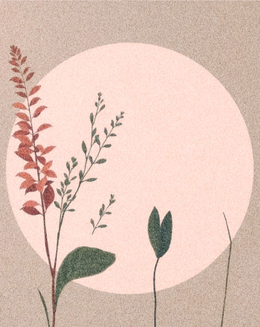 banner_image