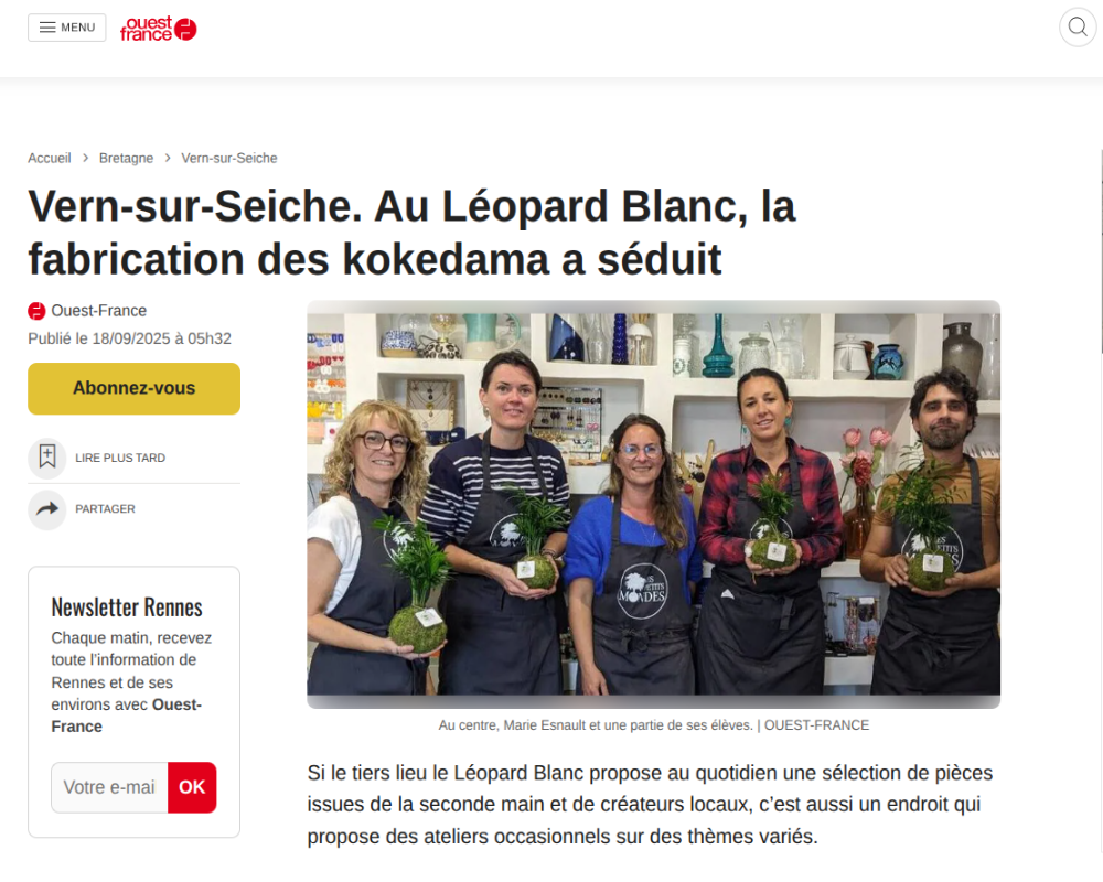 Atelier kokedama à Rennes