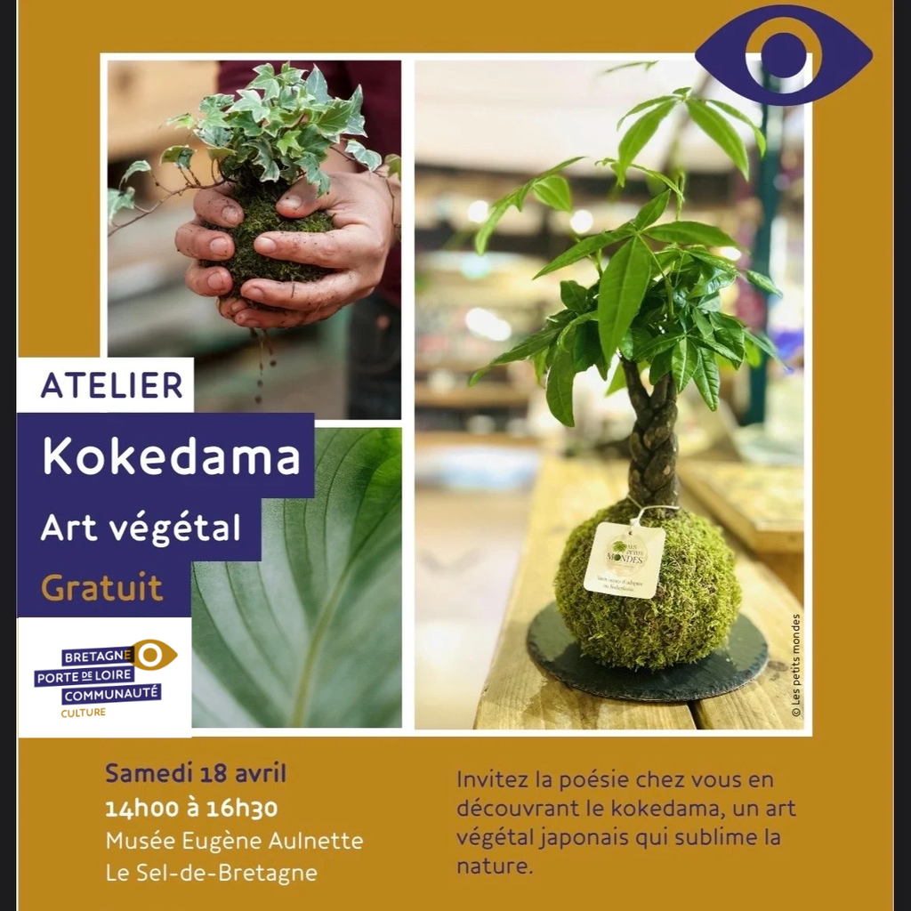 Atelier kokedama Rennes