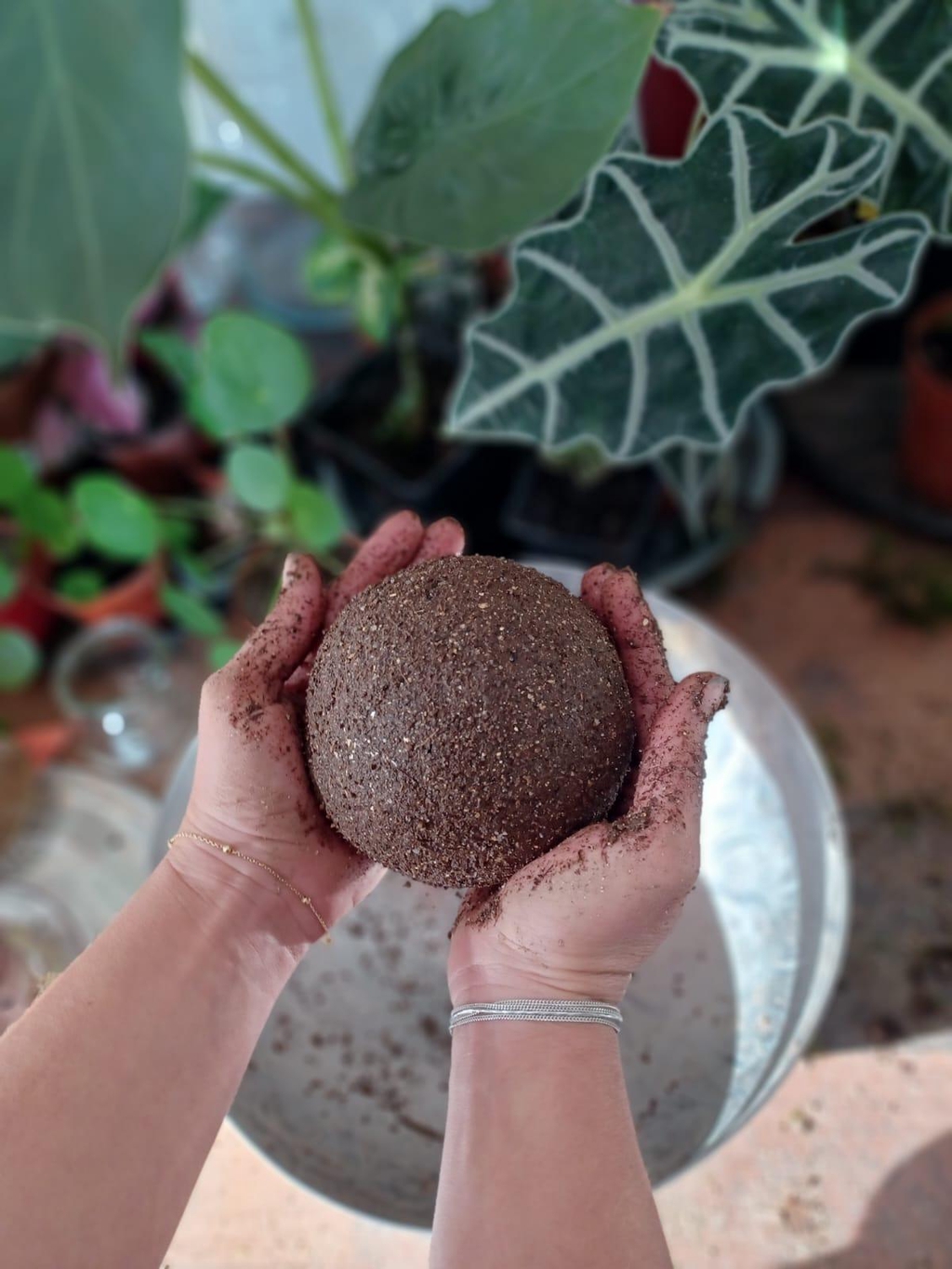 Rempoter un kokedama