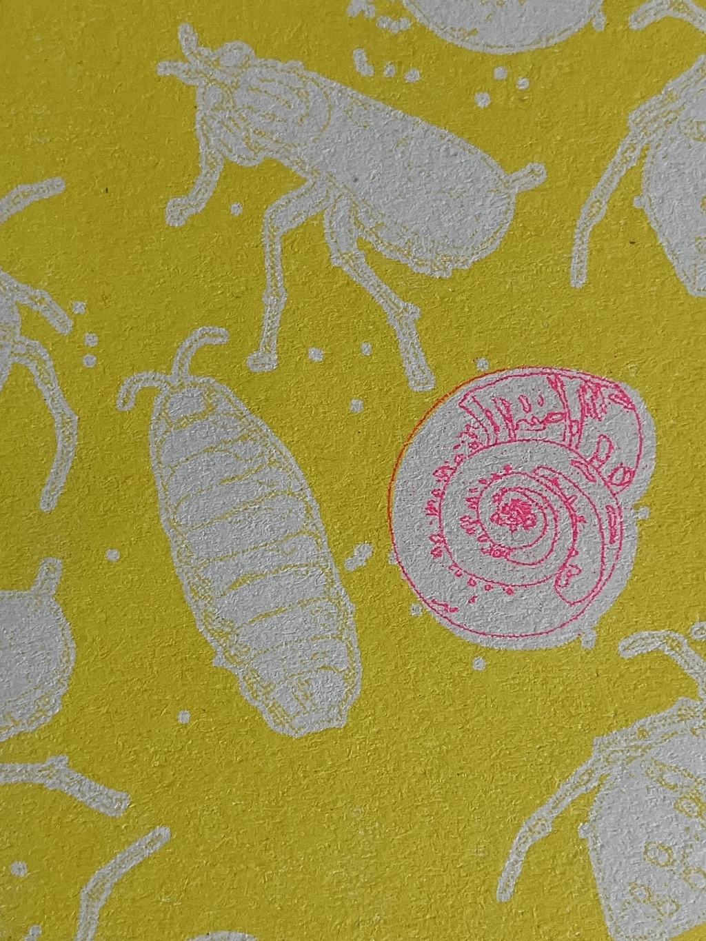 RISO print of drawing of a woodlouse and snail on a bright yellow background