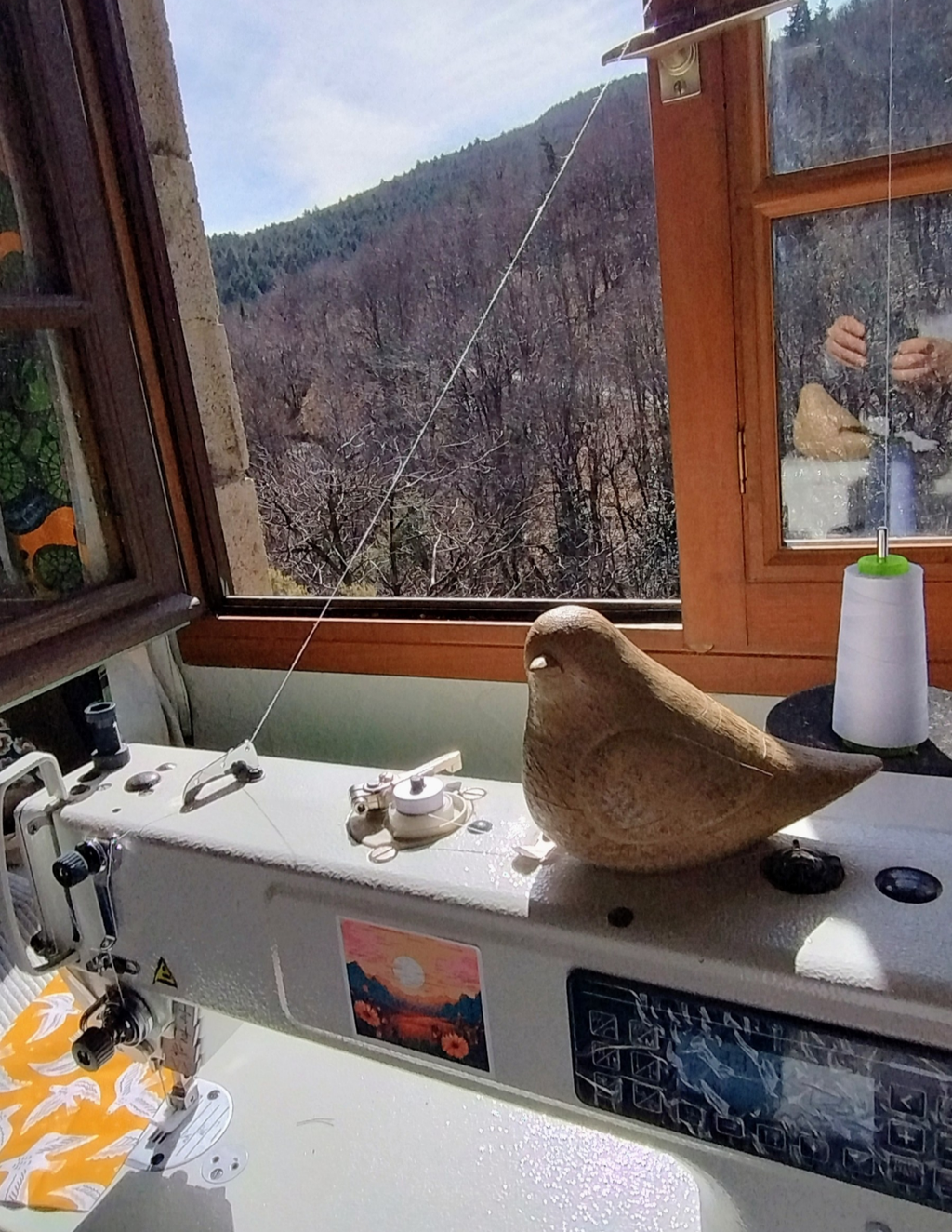 La nouvelle collection 
