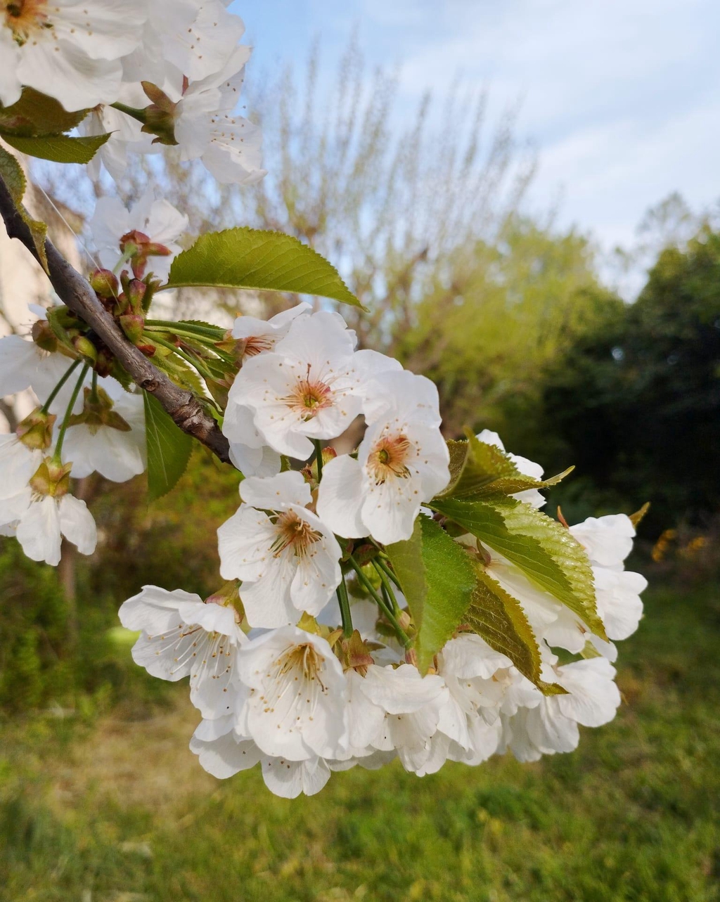 banner_image