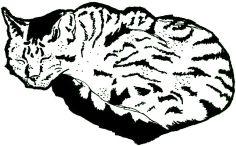 store_logo