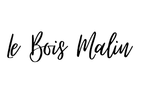 store_logo