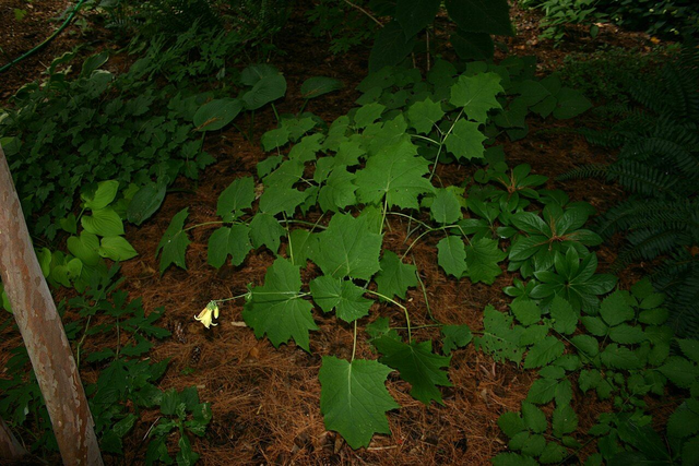 product_list_image_cover