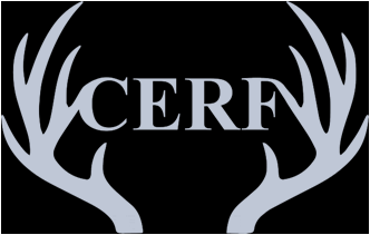 Cerf