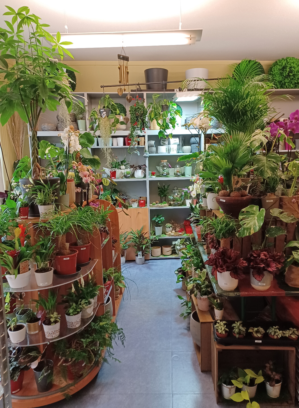 product_list_image_cover