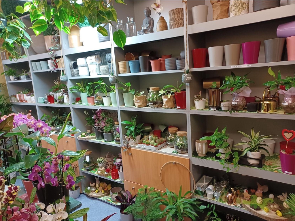 product_list_image_cover