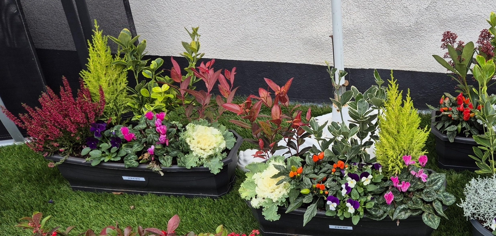 product_list_image_cover