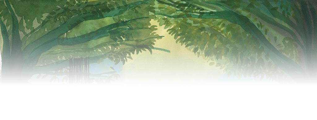 Banner image