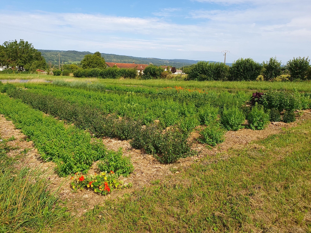 Présentation de mon métier et de ce qui m'anime