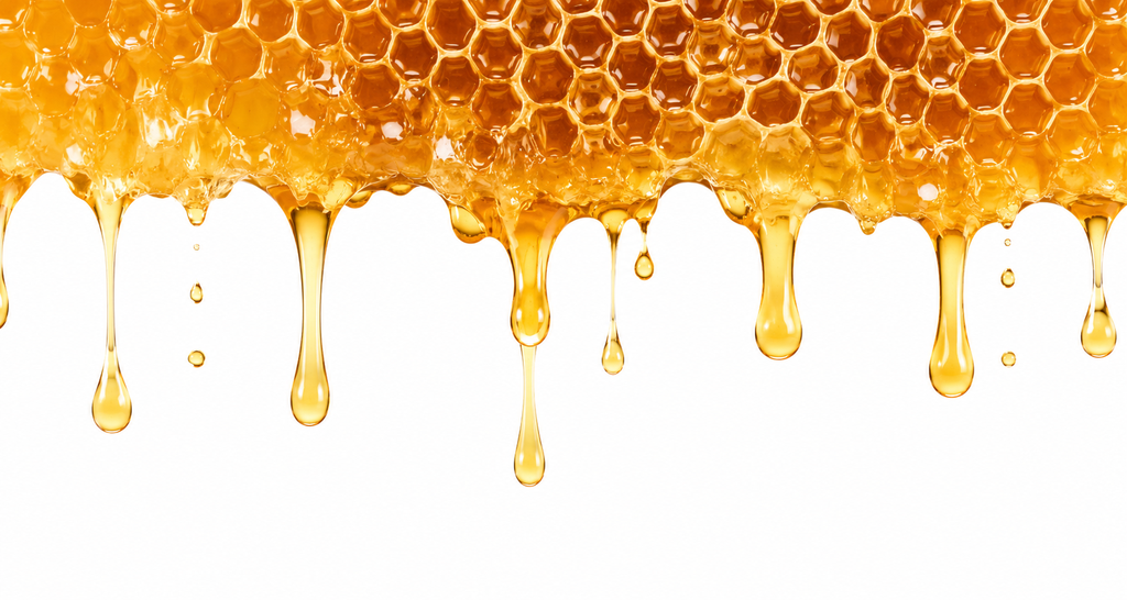 banner_image