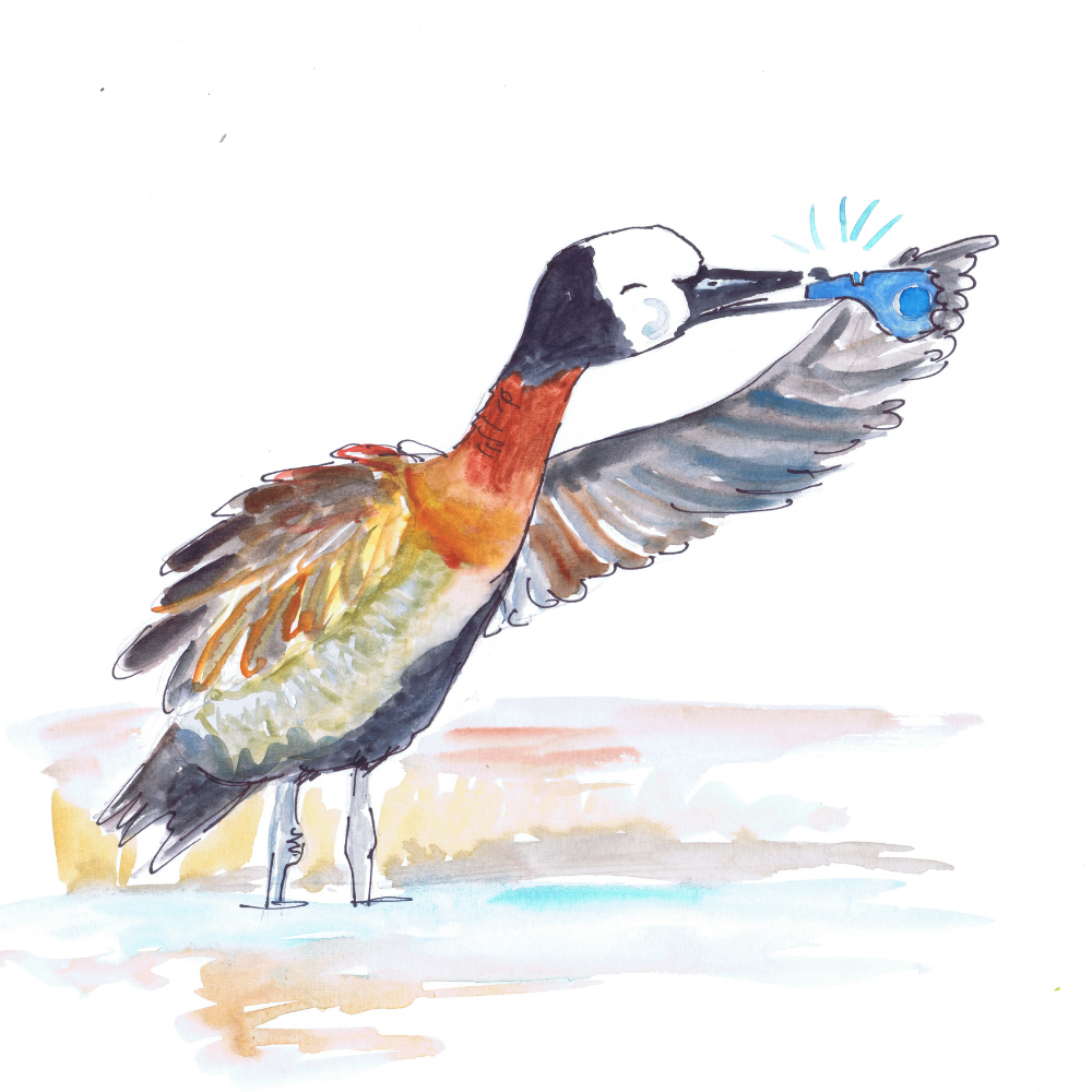 Illustration