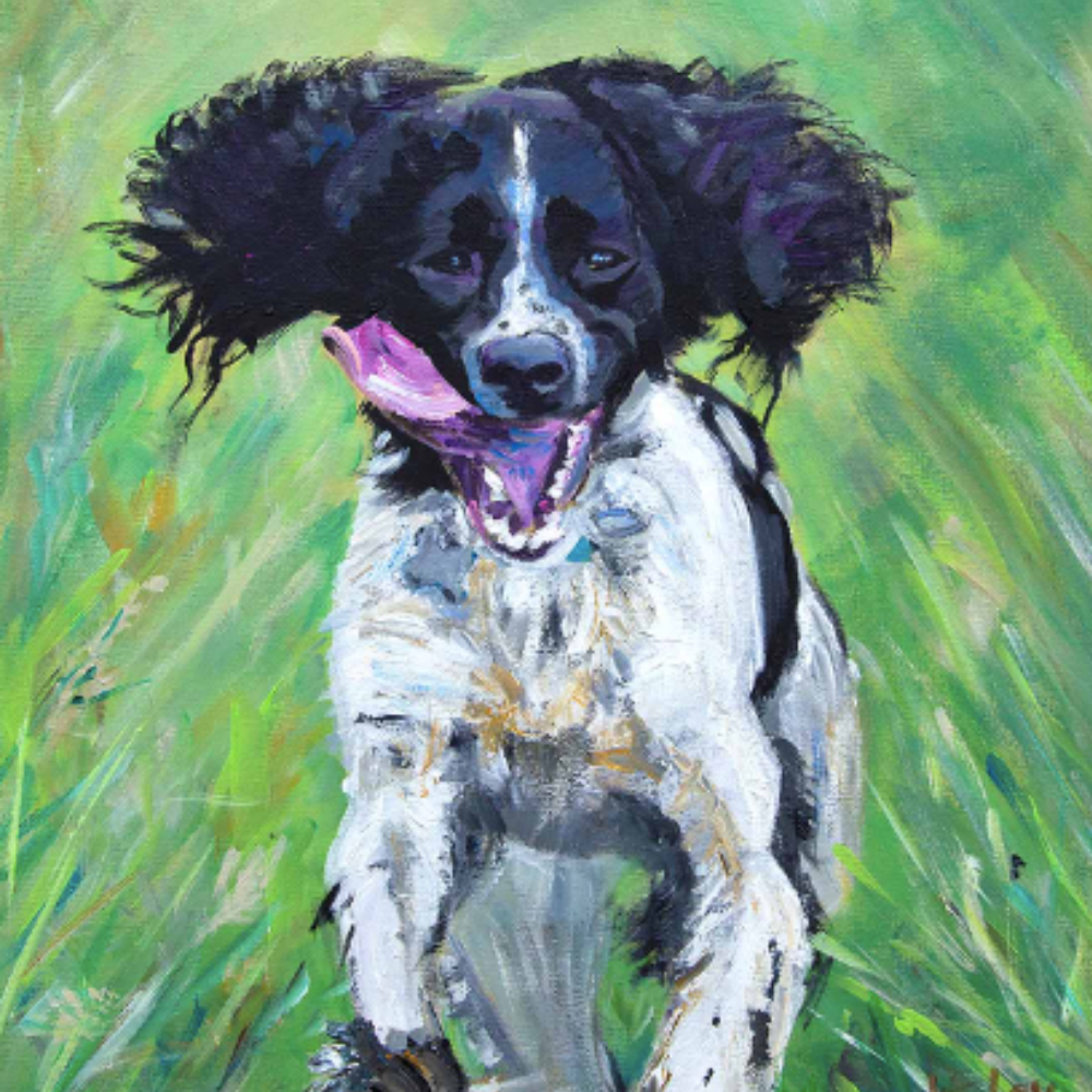 Dogtastic Portraits