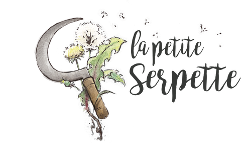 store_logo