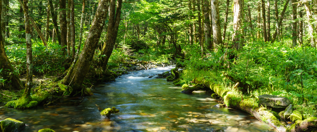 banner_image