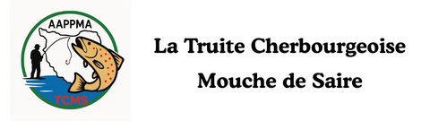 store_logo