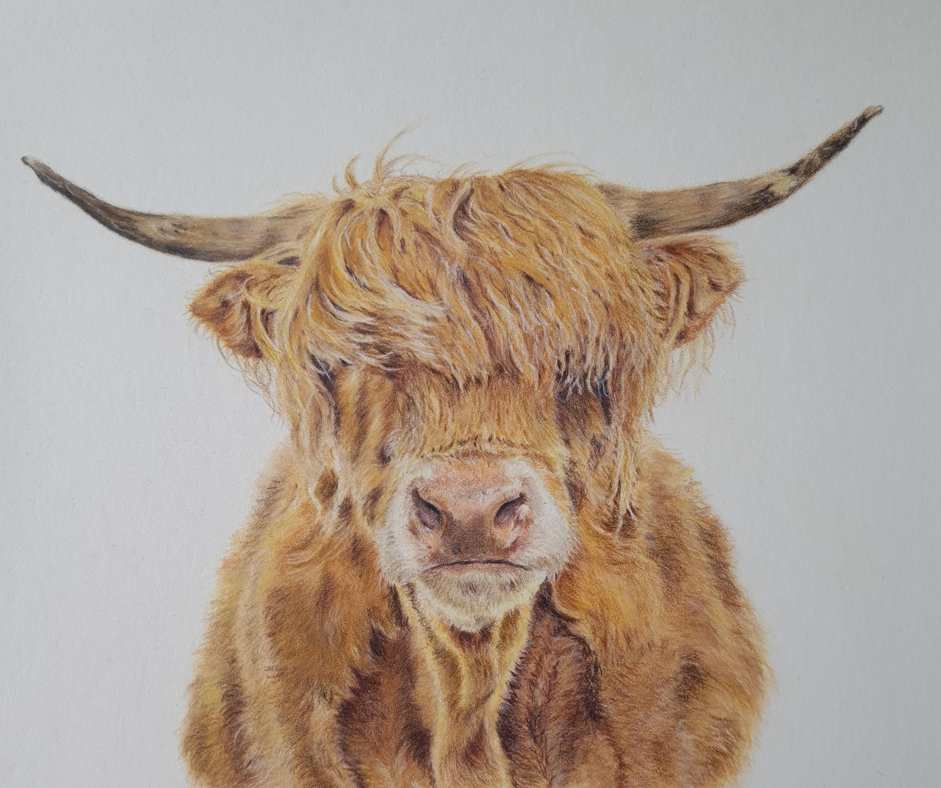 Original Artwork