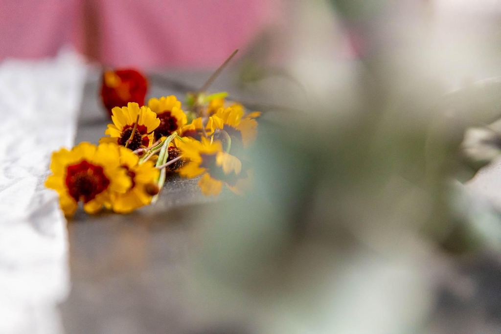 flores desenfocadas
