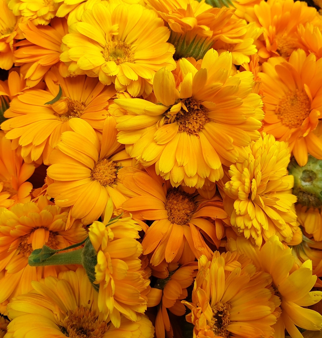 banner_image