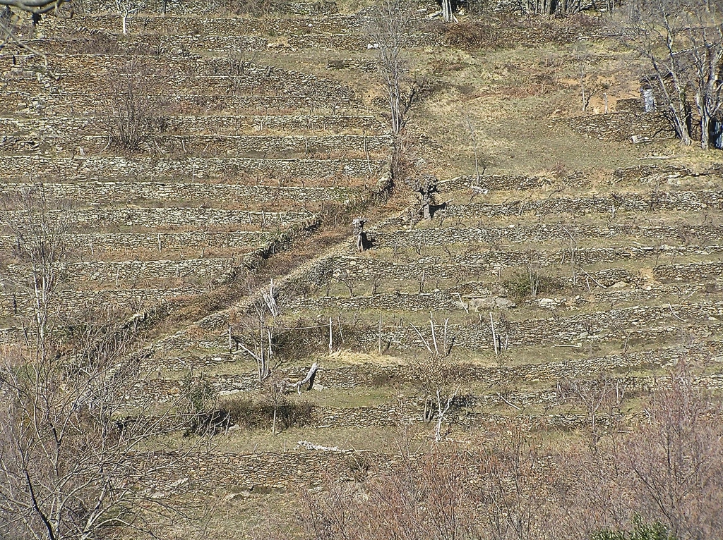 pierre sèche, patrimoine, restauration murs en pierre sèche, Ardèche, sablières