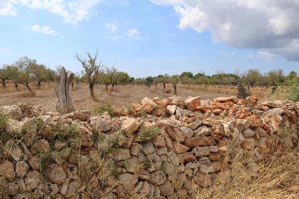 Pierre Sèche : Essor et Enjeux dans le Monde