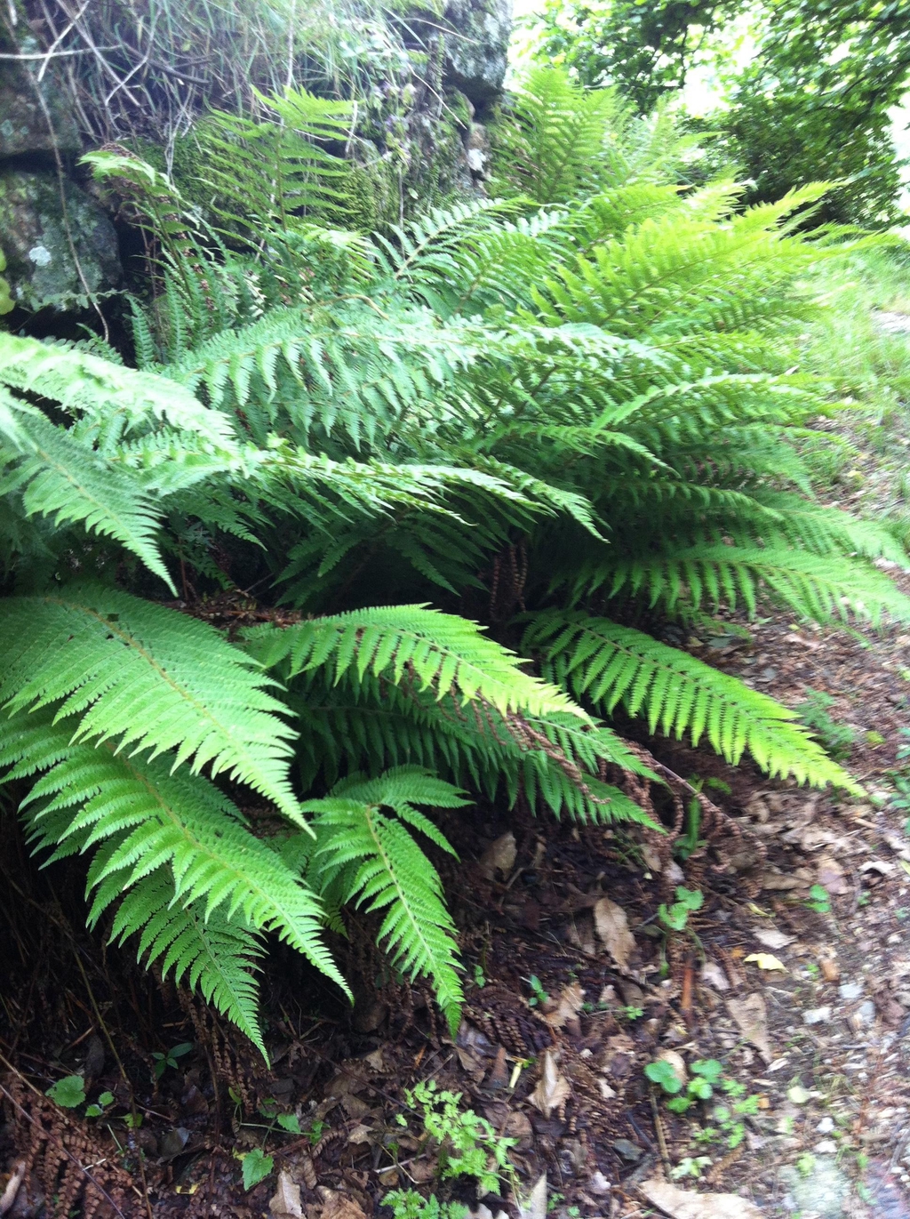 gestion de l'eau et préservation des sols