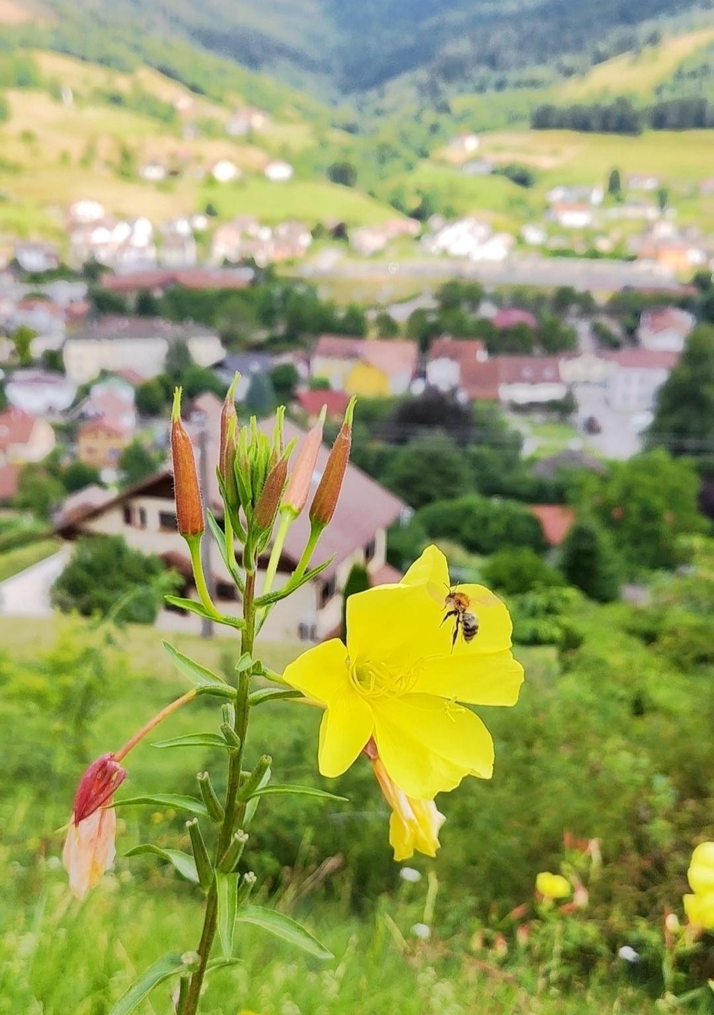 banner_image