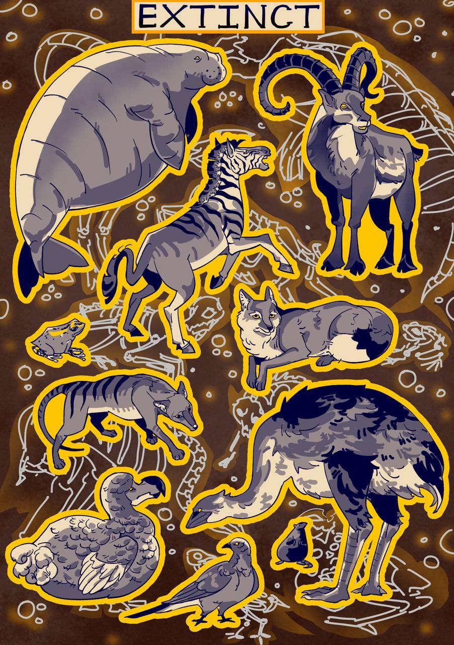 Section image