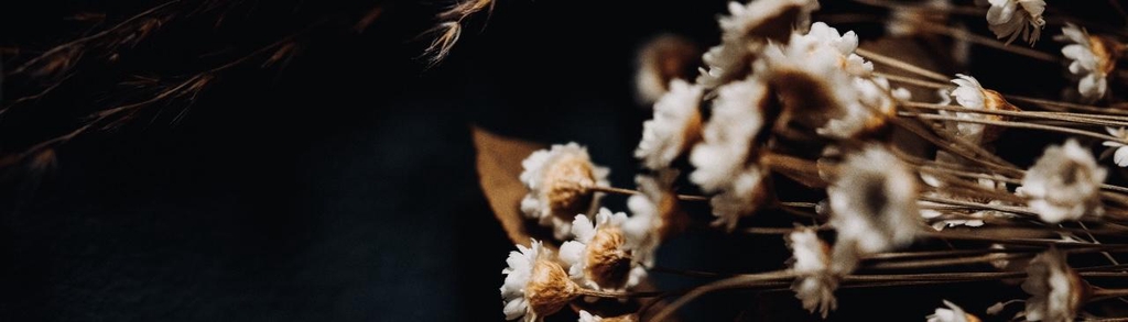 banner_image