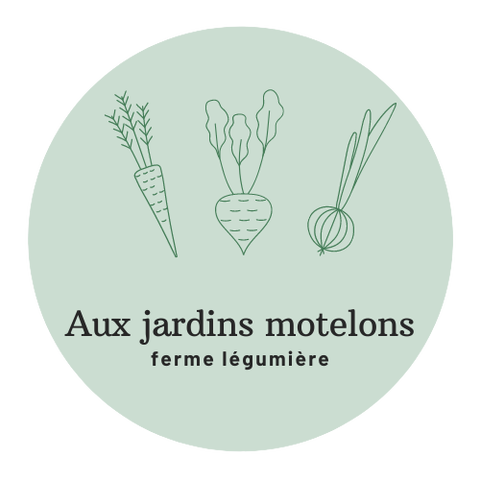 store_logo