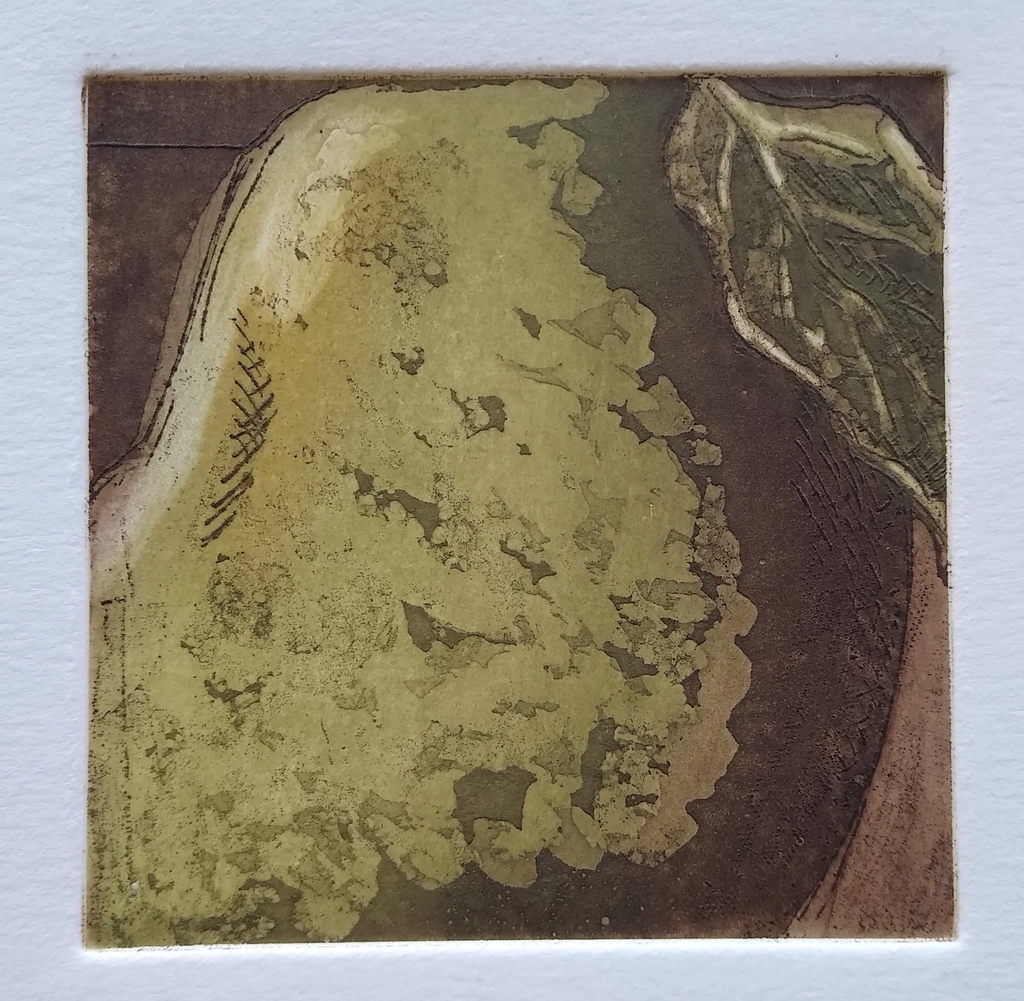 A Conference Pear. 10cm x 10cm etching