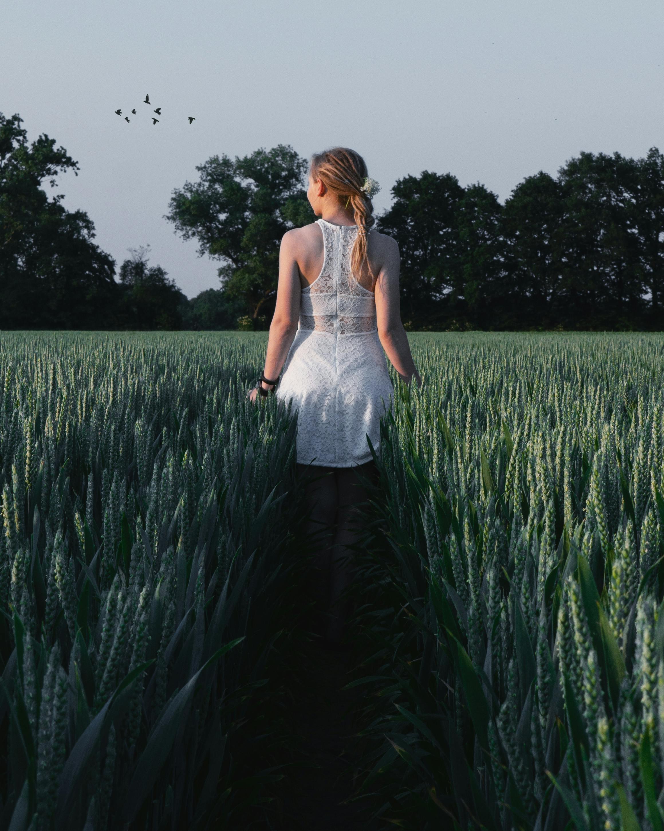 Mariage civil et pacs