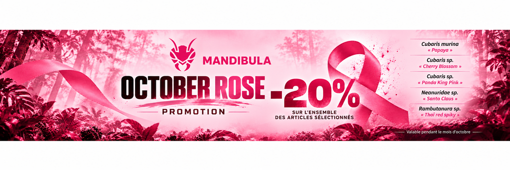Profitez-en !
Code OCTOBREROSE