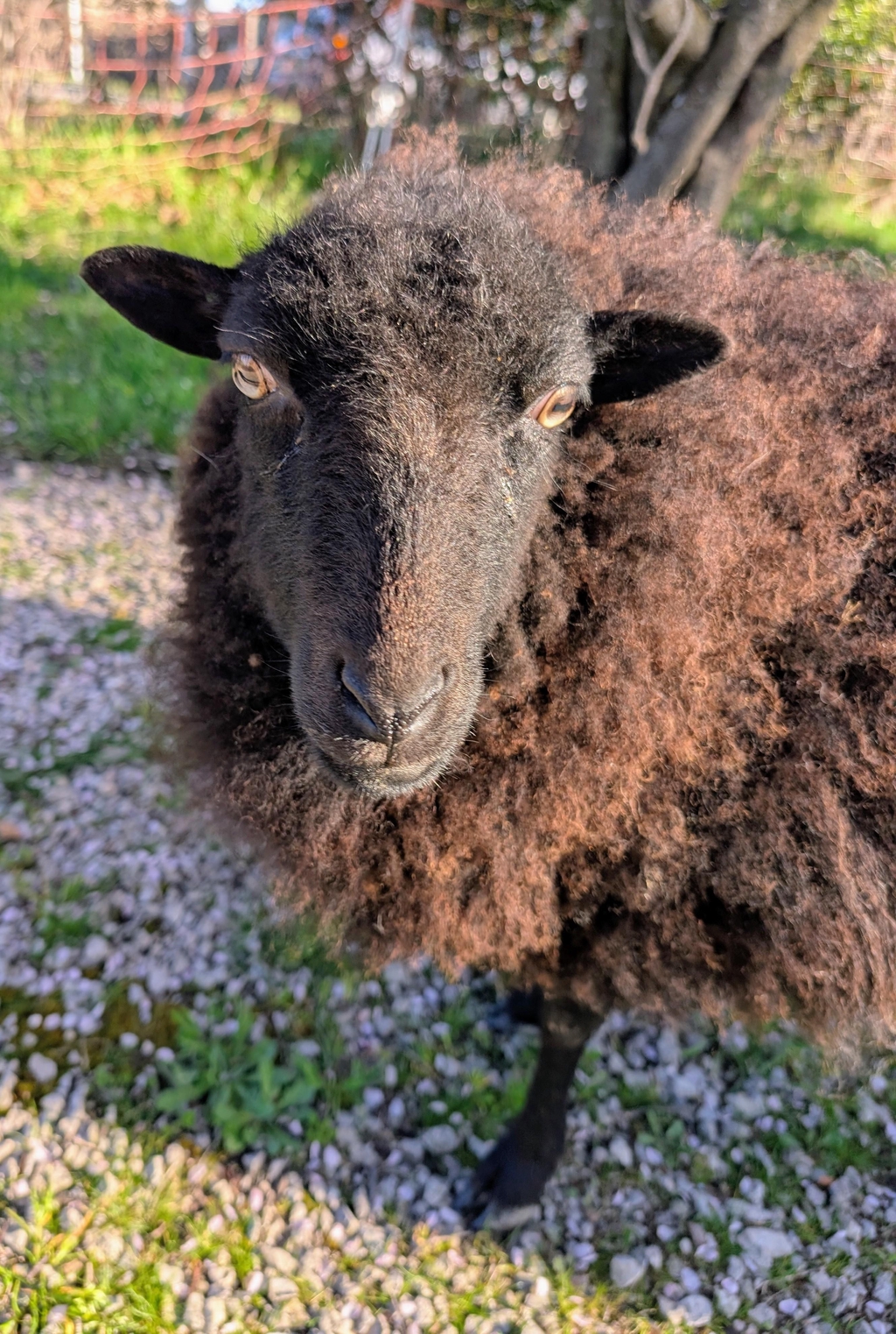 product_list_image_cover