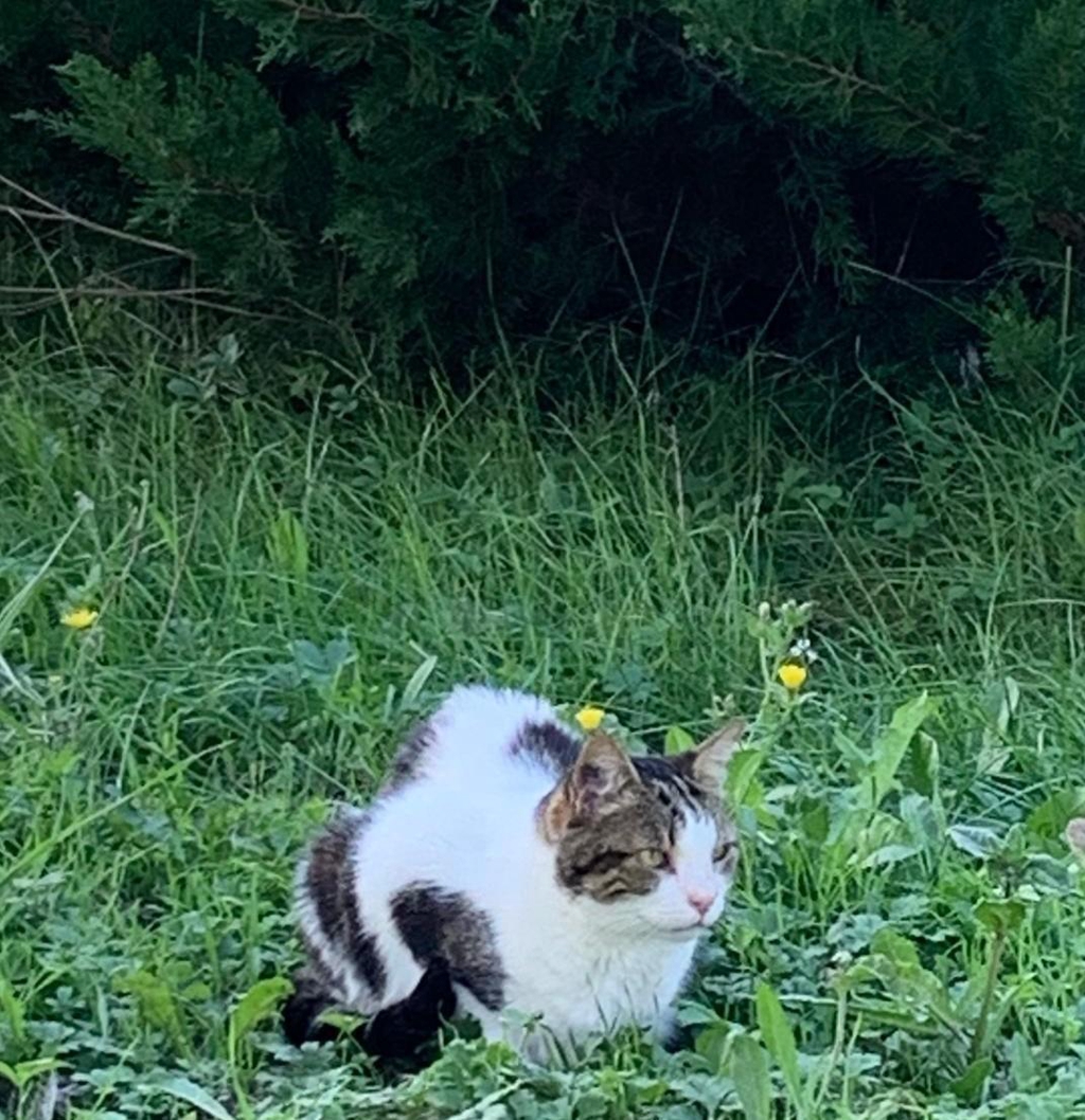 product_list_image_cover