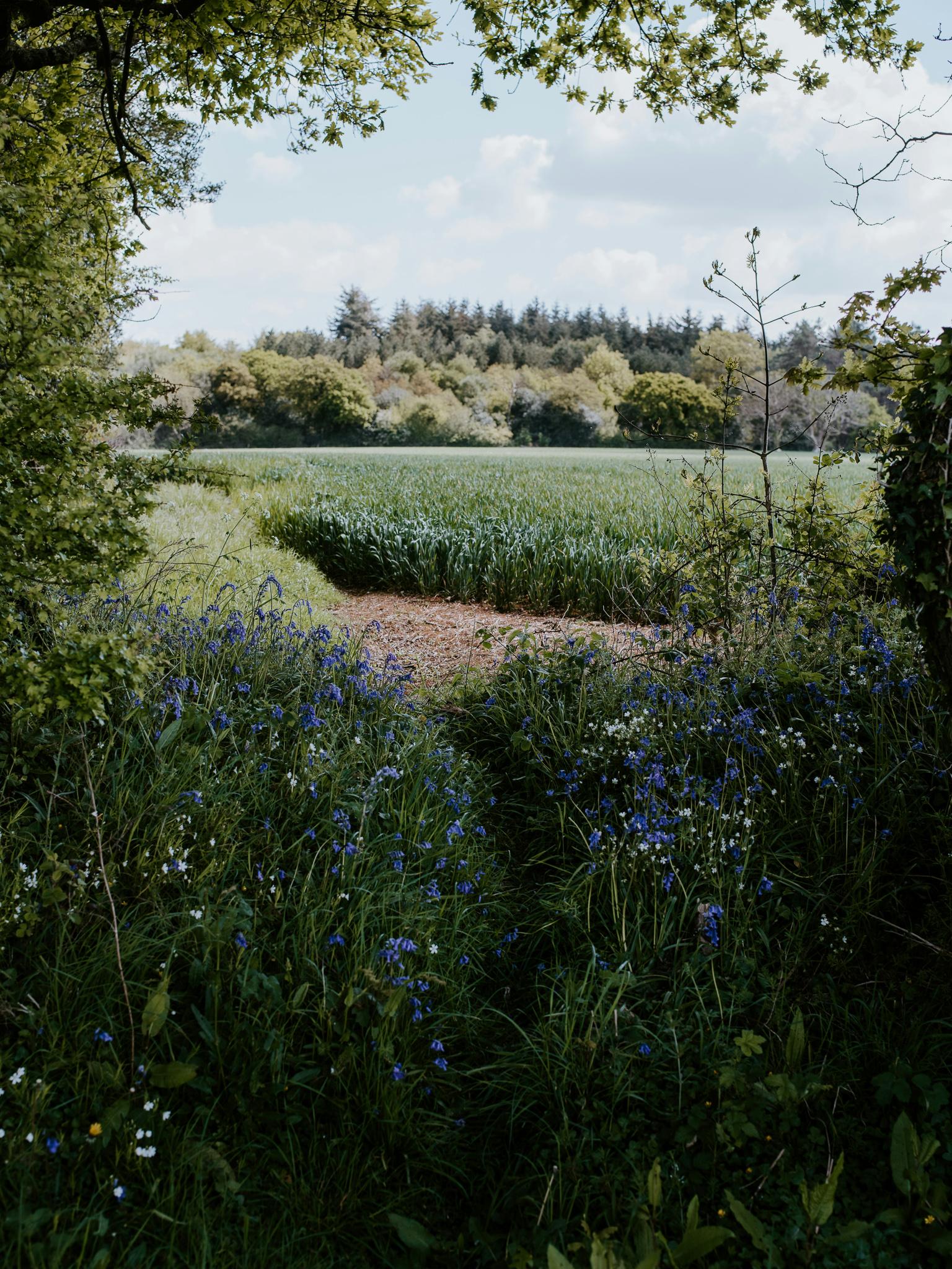 Section image