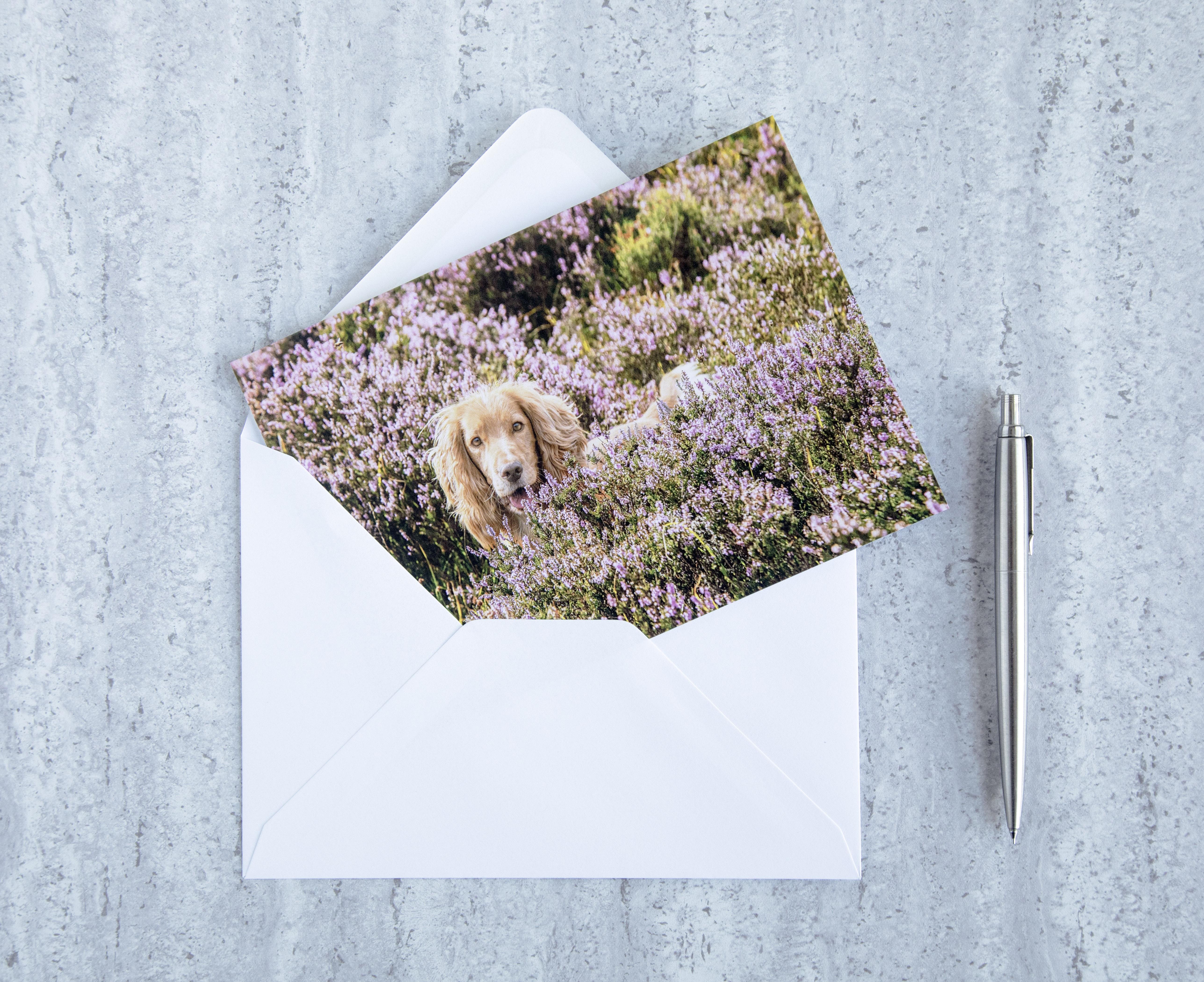 Greetings Cards