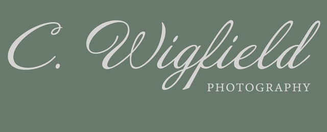 store_logo