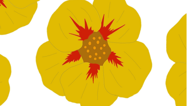 banner_image
