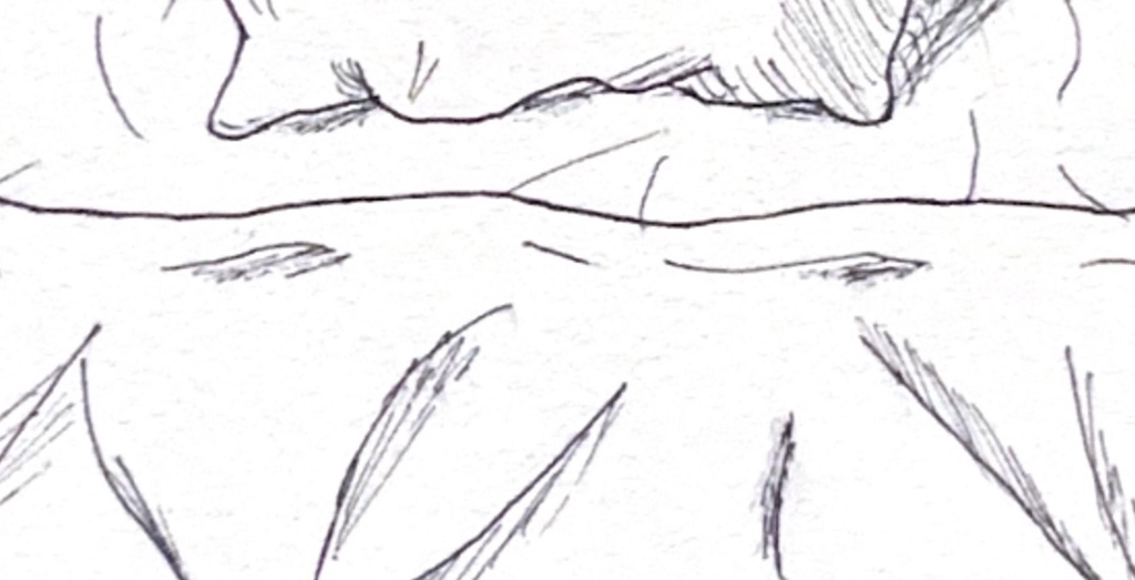 banner_image