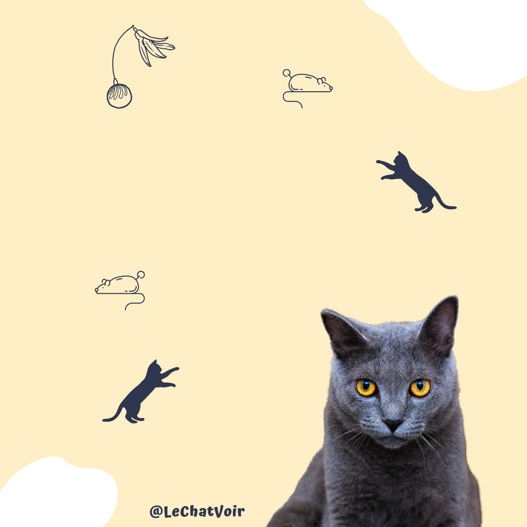 product_list_image_cover