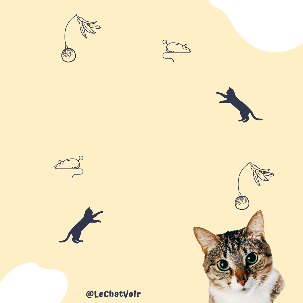 product_list_image_cover