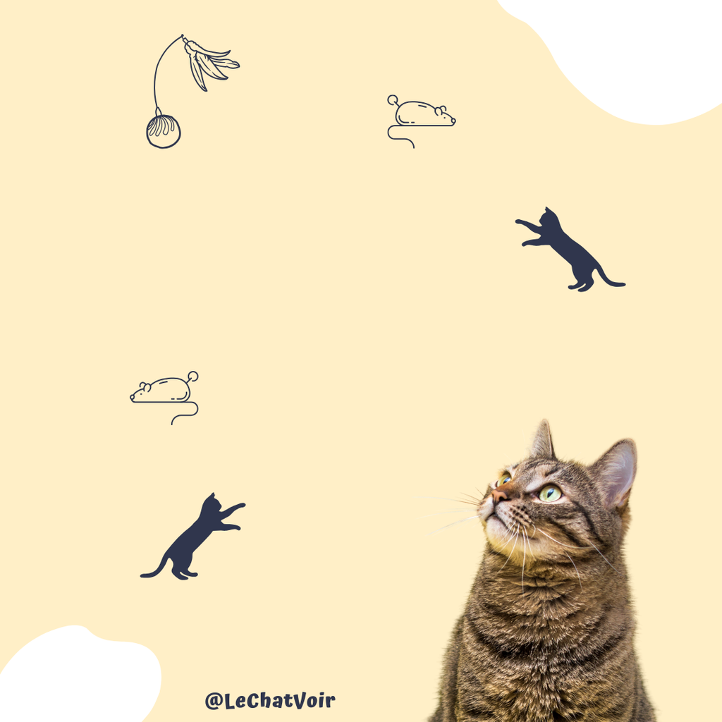 product_list_image_cover