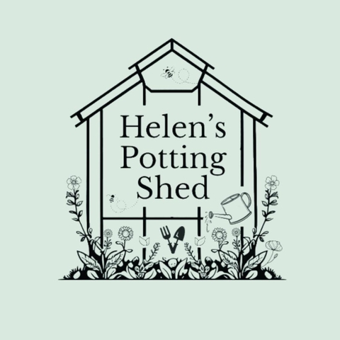store_logo