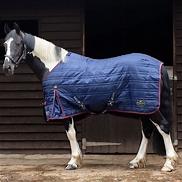 Rugs - Stable