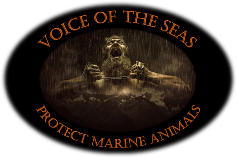 Voice of the seas - Ghostnet Store 